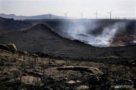 Greenpeace Recuerda Que Galicia Sufre Crisis Incendiarias Cada