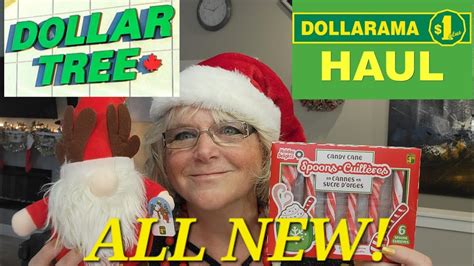 All New Dollarama And Dollar Tree Hauls Name Brands Youtube