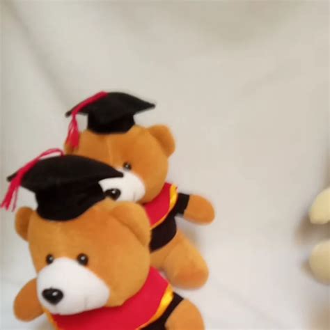 Boneka Teddy Bear Wisuda Sarjana Beruang Wisuda Size Cm Lazada