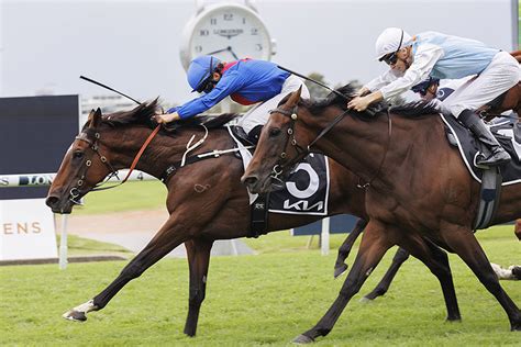 鄧格錦標賽馬日 澳洲秋季賽期 香港賽馬會