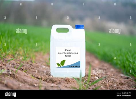 Plant growth-promoting fungi beneficial fungi that enhance plant growth ... 