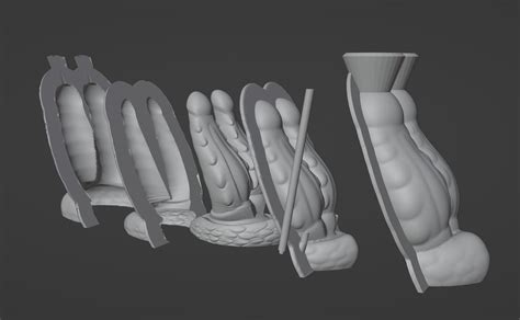 Dragon Dildo Collection Vol Stl File For D Printingcults