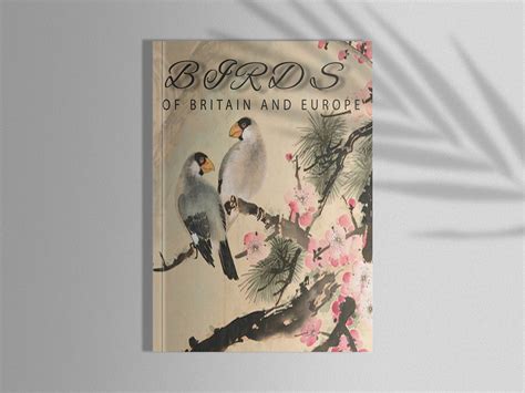 Book cover design by Mahabubur rahman on Dribbble