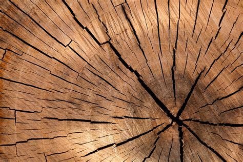 Lumber Wood Backgrounds HD Wallpaper Pxfuel