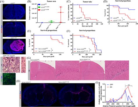 Growth hormone receptor (GHR) overexpression or GHR signalling... | Download Scientific Diagram