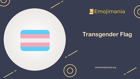 🏳️‍⚧️ Meaning Transgender Flag Emoji Copy And Paste