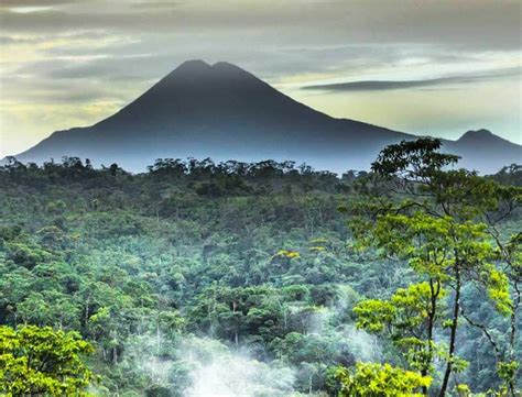 Parque Nacional Sumaco Napo Galera Saga Tevé