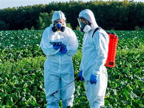 Chbagro Controle De Pragas E Doen As No Agro