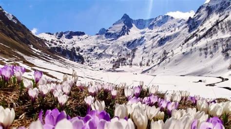 Alpe Devero E Lago Delle Streghe Val D Ossola LeMontagne Net