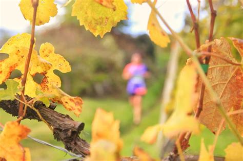 Valtellina Wine Trail Torna A Splendere Il Trail Running Italiano