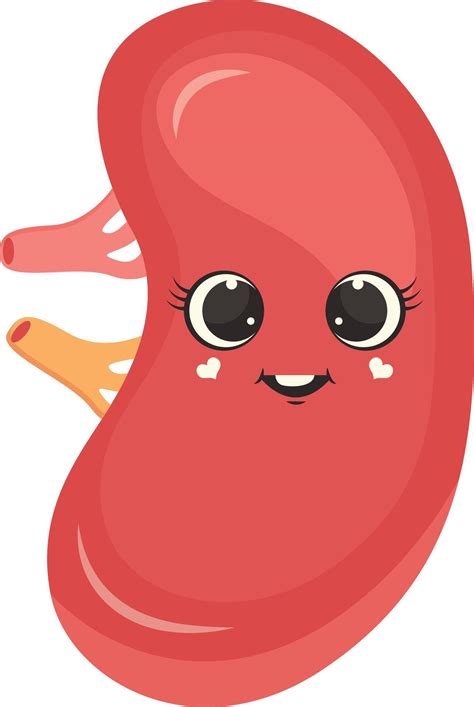 Cute Human Internal Organs Character Illustration In Cartoon Design