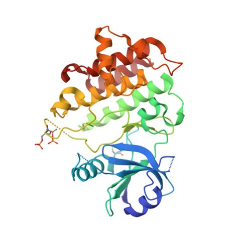 Rcsb Pdb 8atl Discovery Of Irak4 Inhibitor 23