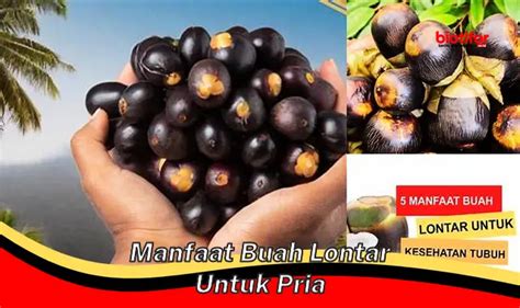 Temukan Manfaat Buah Lontar Untuk Pria Yang Jarang Diketahui Biotifor