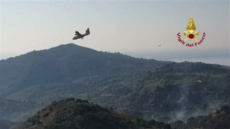 Incendi Divorano L Isola D Elba Evacuati Noitv