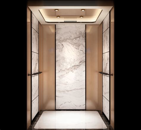 Luxury Hotel Passenger Elevator With Etching Cabin Elevator And