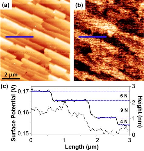 A Surface Topography Afm Image And B Surface Potential Image