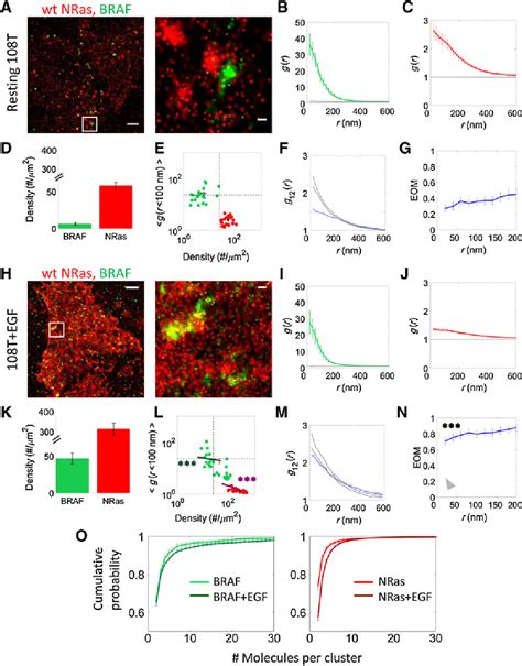 Figure From Mek Inhibition Reverses Aberrant Signaling In Melanoma