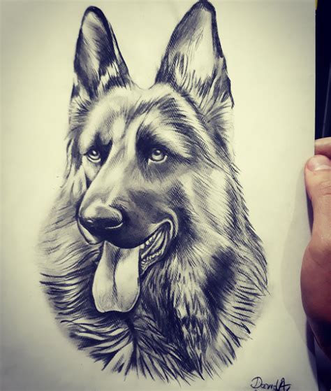 Pastor Aleman Dog 3