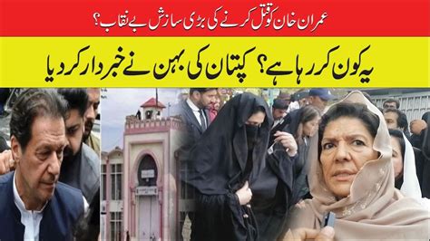 Imran Khan Sister Aleema Khan Shocking Statement After Meet Khan