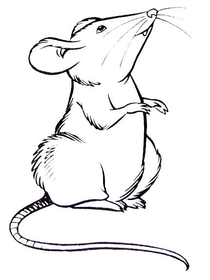 10 Top Rats Coloring Pages