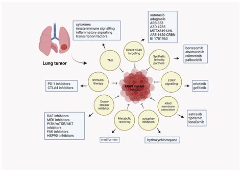 Cells Free Full Text Kras Mutant Lung Cancer Targeting Molecular