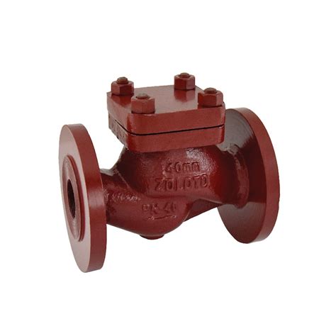 Cast Steel Horizontal Lift Check Valve Flanged TSV Eximp Pvt Ltd