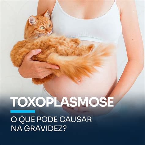 Toxoplasmose O Que Pode Causar Na Gravidez