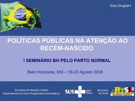 Ppt Pol Ticas P Blicas Na Aten O Ao Rec M Nascido I Semin Rio Bh Pelo