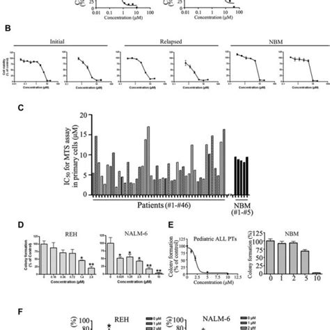 Tenovin Induces Activation Of P In All Cells A Molecular