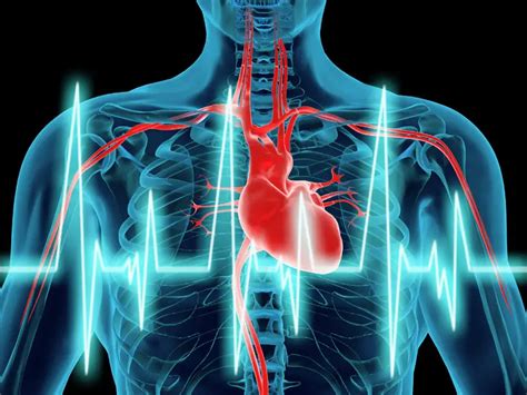 AI Provides Fast Accurate Diagnosis Of Heart Failure