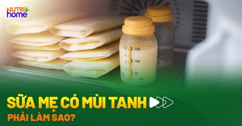 Cách Khử Mùi Tanh Của Sữa Mẹ Bí Quyết Hiệu Quả Nhất