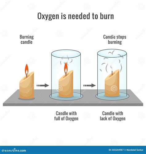 Fire And Oxygen Experiment With Two Candles Vector Image, 52% OFF