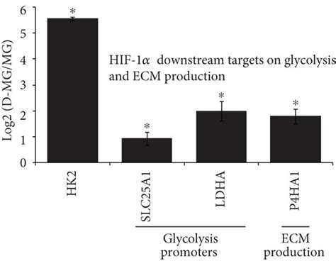 Hif Related Pathway A Rna Sequencing Results For Glycolytic Genes