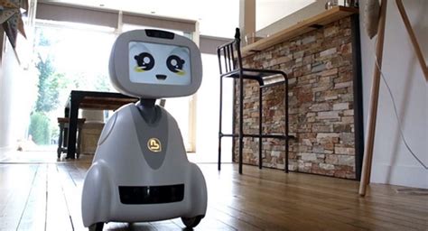 Companion Robots The Future Is Now Constructor Builders Estimating Software