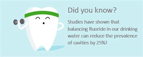 The Benefits of Fluoridated Water | Delta Dental Of Washington