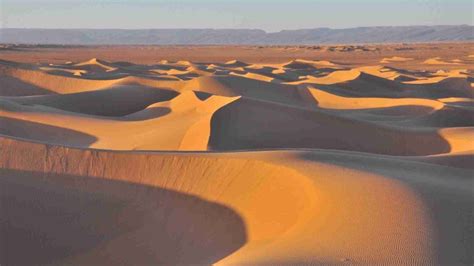 12 Facts About the Sahara Desert - Greatslist