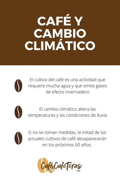 Caf Y Cambio Clim Tico Un Futuro Sin Caf Caf Cafeteras