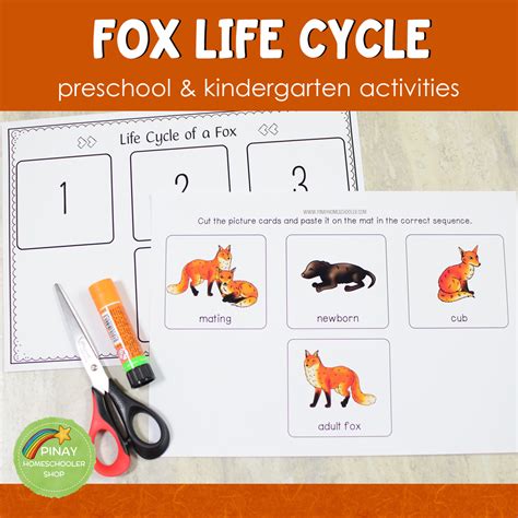 Fox Life Cycle Activity Set – Pinay Homeschooler Shop