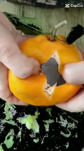 Easiest Way To Peel Orange By Hand Youtube