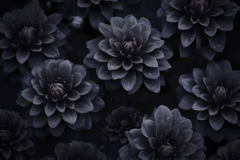 Dark Moody Dahlia Flowers Wallpaper | Happywall