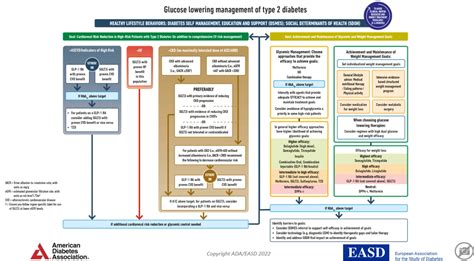 Nuevo Algoritmo Easd Ada Sobre Tratamiento De La Dm2 Free Diabetes