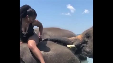 Elephant Fucks Girl Telegraph