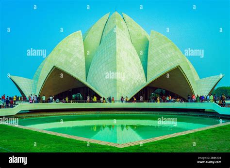 Blue Lotus Of India Hi Res Stock Photography And Images Alamy