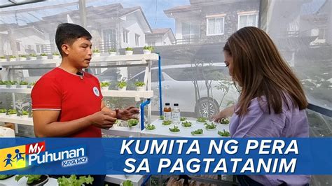 My Puhunan Kaya Mo Paano Kumita Sa Hydroponics Youtube