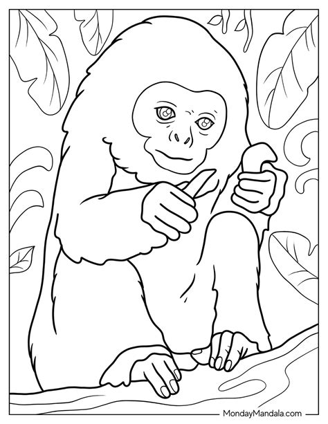 26 Monkey Coloring Pages Free PDF Printables