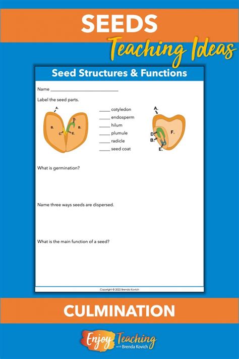 Amazing Ideas For Teaching About Seeds Germination And Dispersal