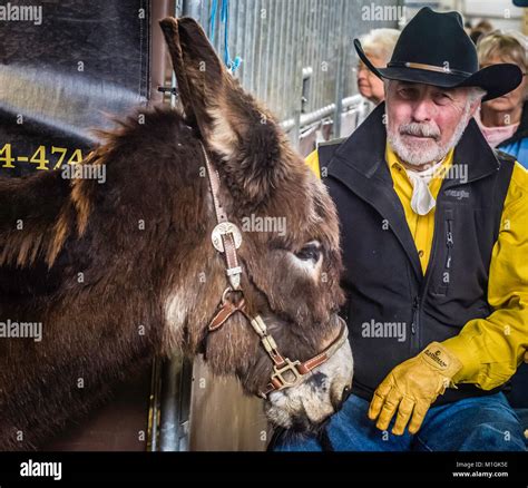 PA. FARM SHOW EXHIBITION Stock Photo - Alamy