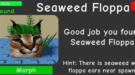 How To Get The Seaweed Floppa Find The Floppa Morphs Roblox