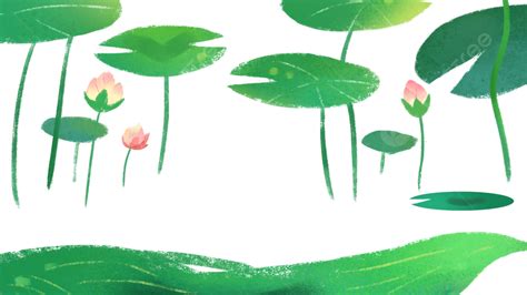 Lotus Lotus Leaf Plant Lotus Lotus Leaf Plant Png Transparent Image