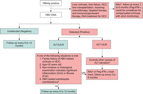 Guidelines For The Prevention And Treatment Of Chronic Hepatitis B